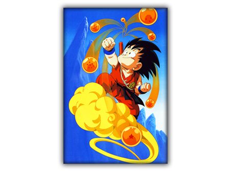 Dragon Ball #6